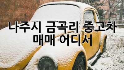 나주시 금곡리 중고차 매매, 어디서?