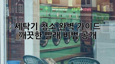 🫧세탁기 청소🫧 완벽 가이드: ✨깨끗한 빨래✨ 비법 공개!