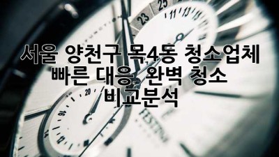 서울 양천구 목4동 청소업체: 빠른 대응 & 완벽 청소 비교분석